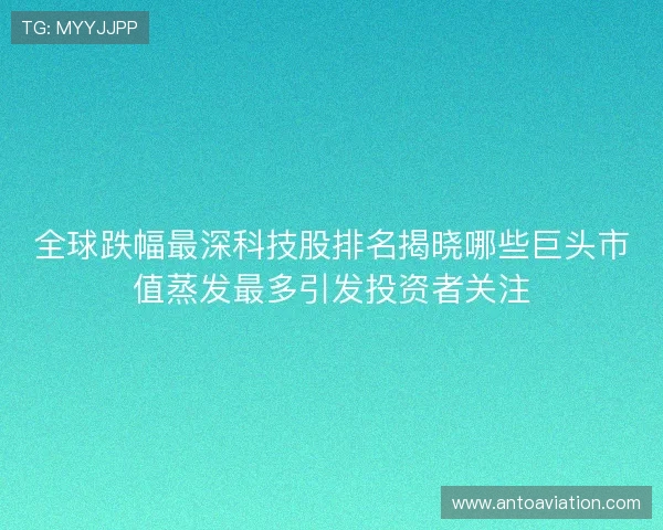 全球跌幅最深科技股排名揭晓哪些巨头市值蒸发最多引发投资者关注 全球跌幅最深科技股排名揭晓哪些巨头市值蒸发最多引发投资者关注